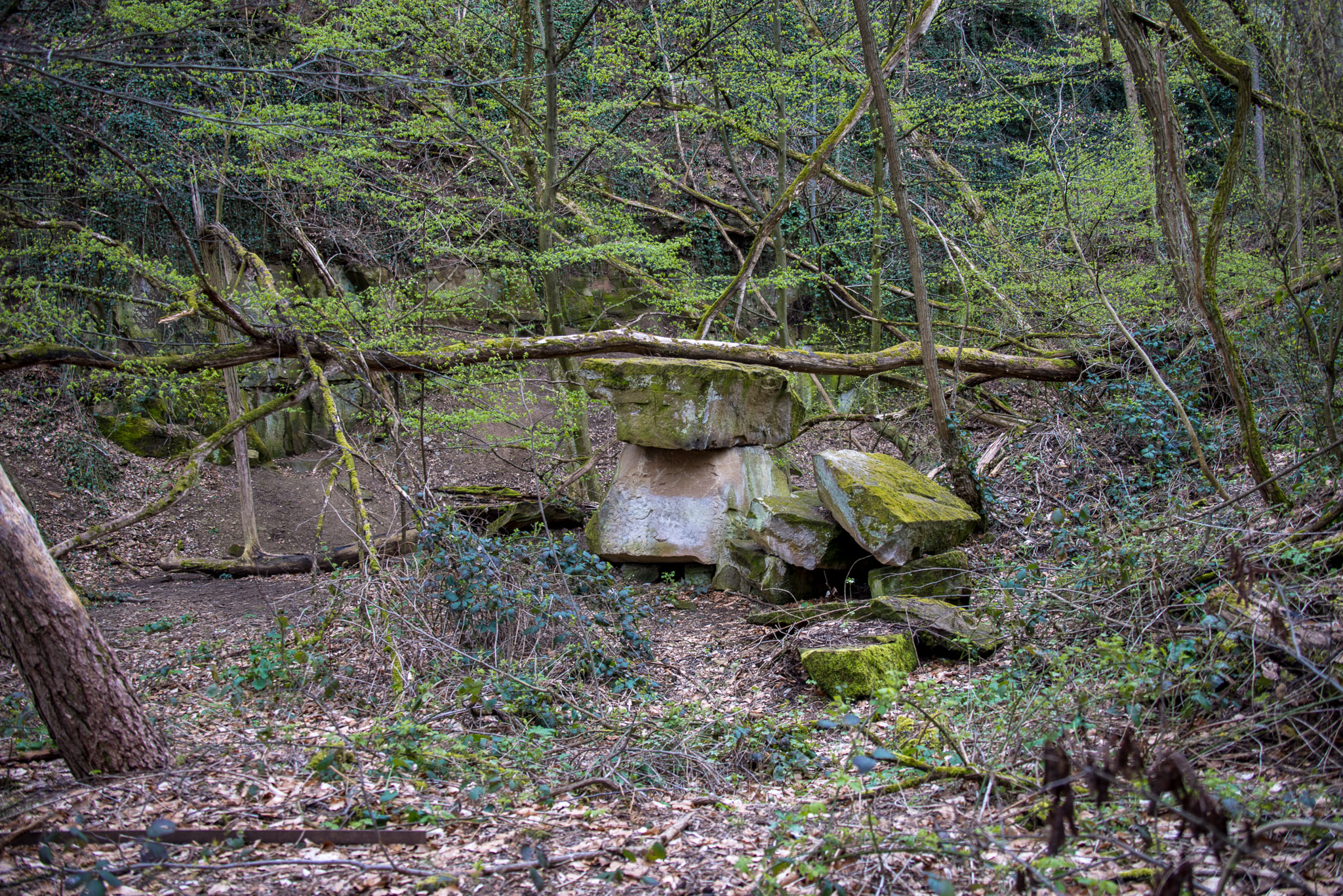 20220410111631 R5D 1936